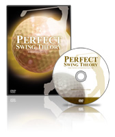 ³Perfect Swing Theoryע ŵ